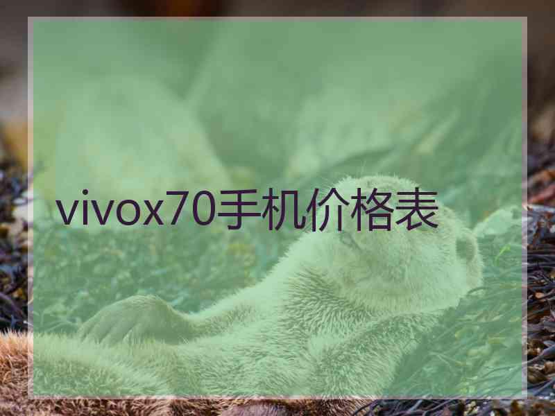 vivox70手机价格表