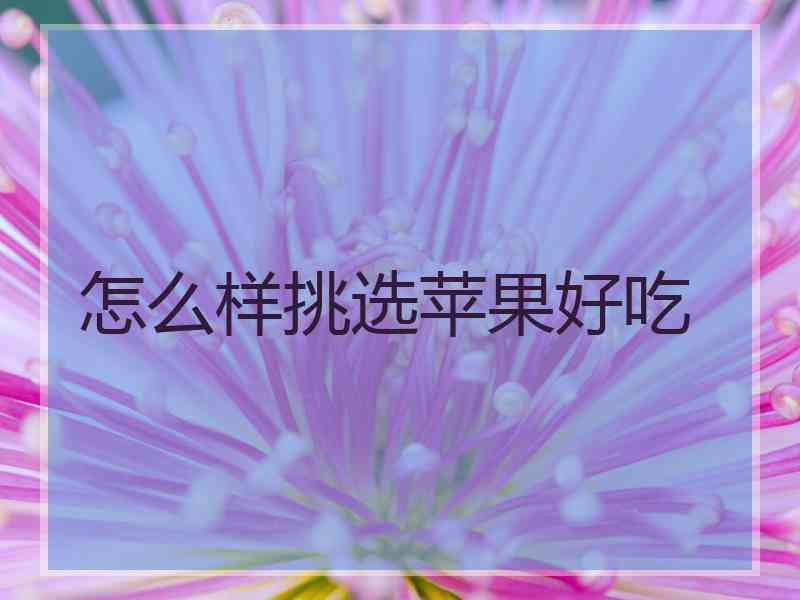 怎么样挑选苹果好吃