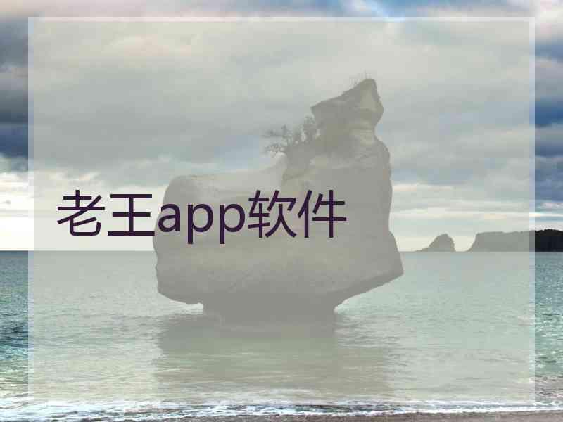 老王app软件