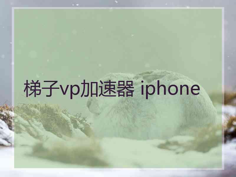 梯子vp加速器 iphone