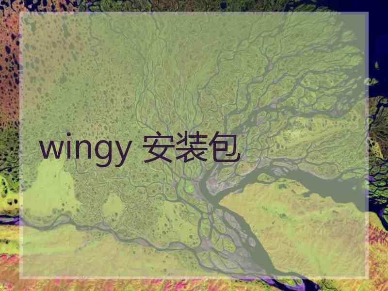 wingy 安装包