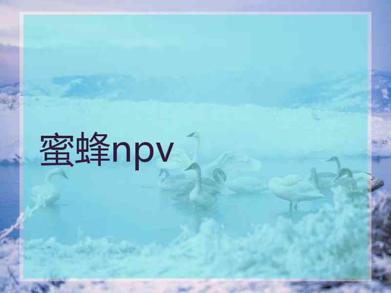 蜜蜂npv