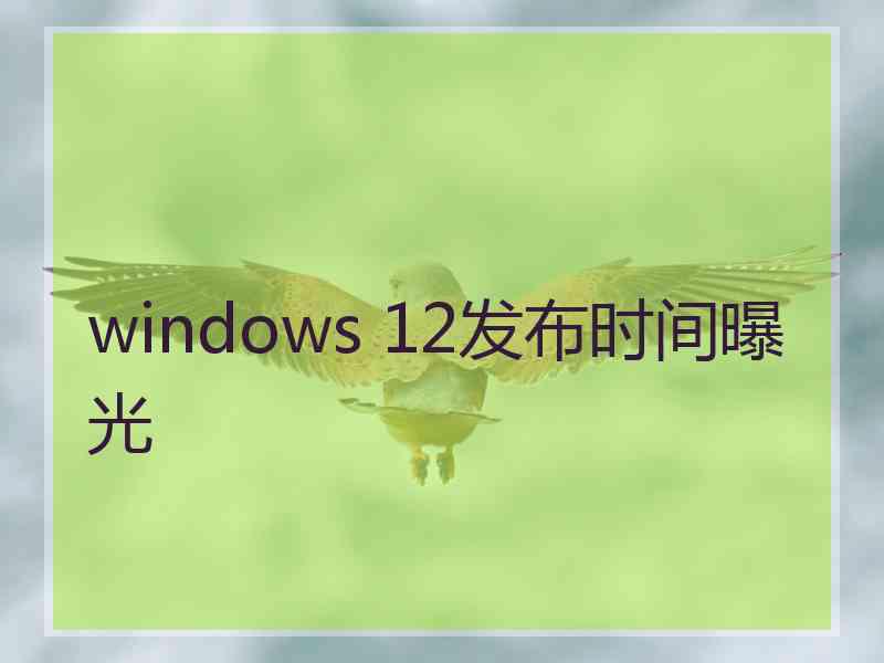 windows 12发布时间曝光