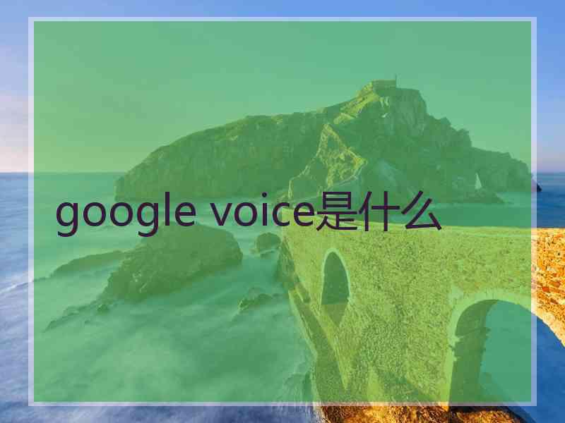 google voice是什么