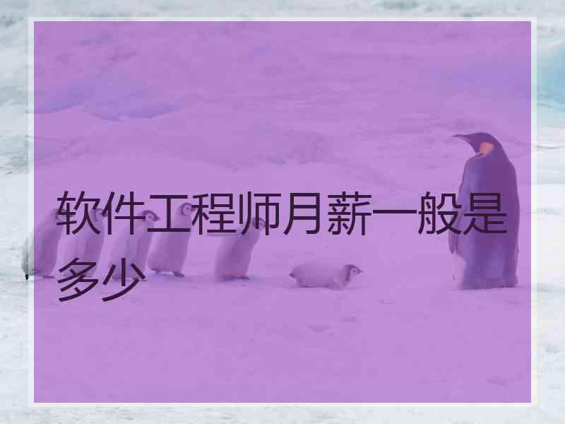 软件工程师月薪一般是多少