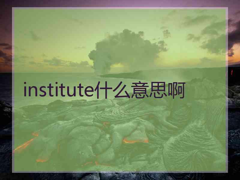 institute什么意思啊