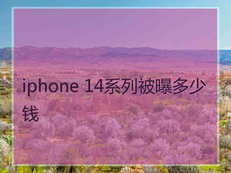 iphone 14系列被曝多少钱