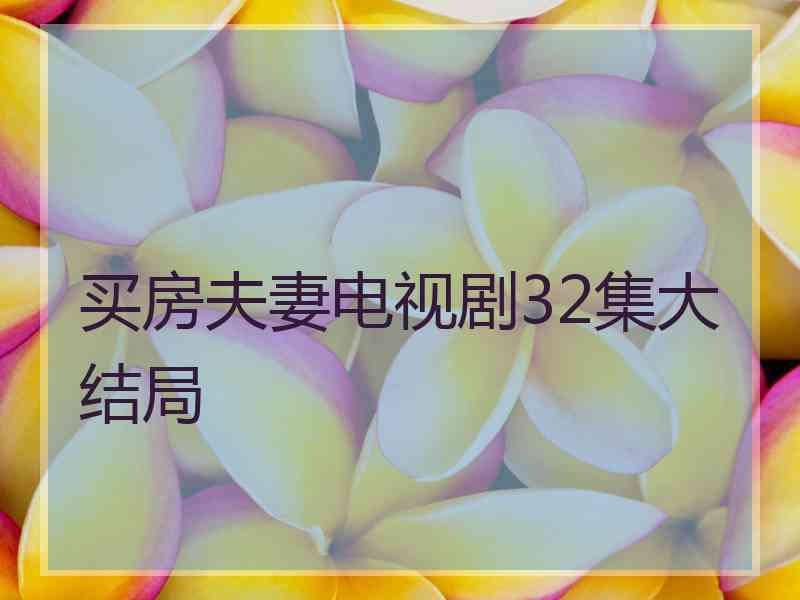 买房夫妻电视剧32集大结局