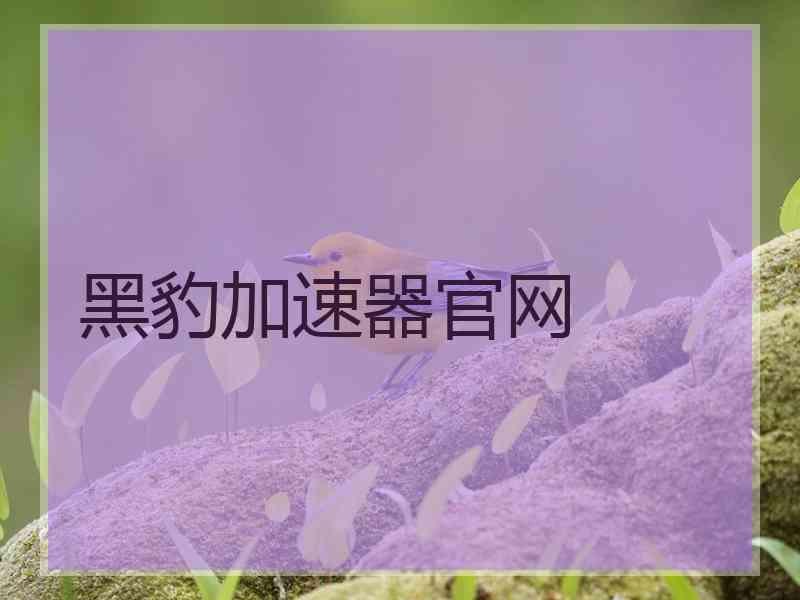 黑豹加速器官网