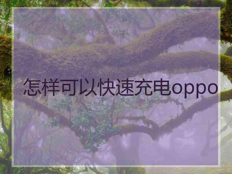 怎样可以快速充电oppo