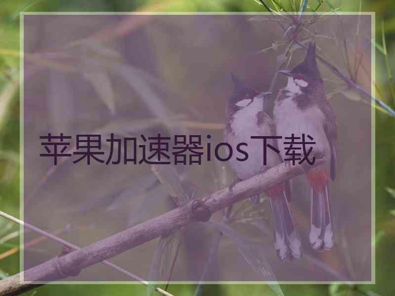 苹果加速器ios下载