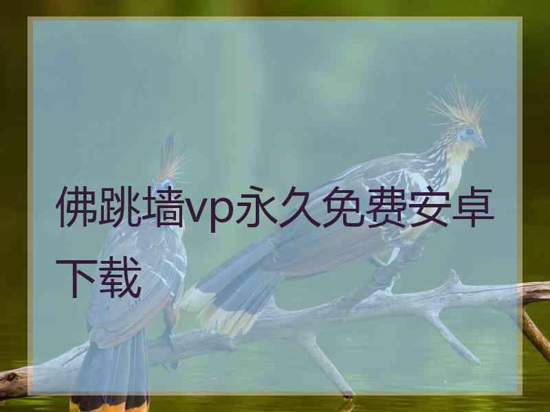 佛跳墙vp永久免费安卓下载