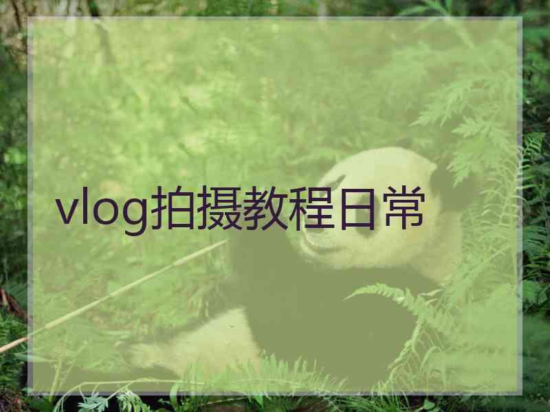 vlog拍摄教程日常