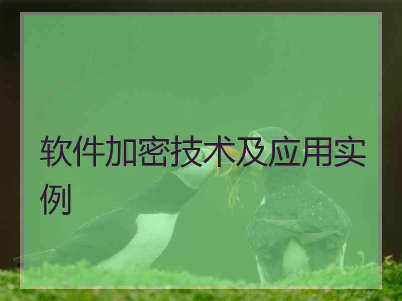 软件加密技术及应用实例