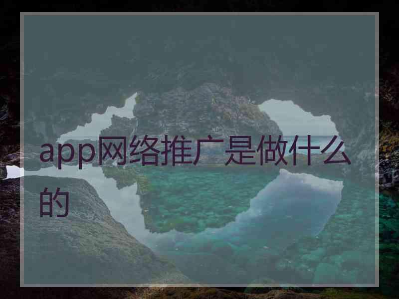 app网络推广是做什么的