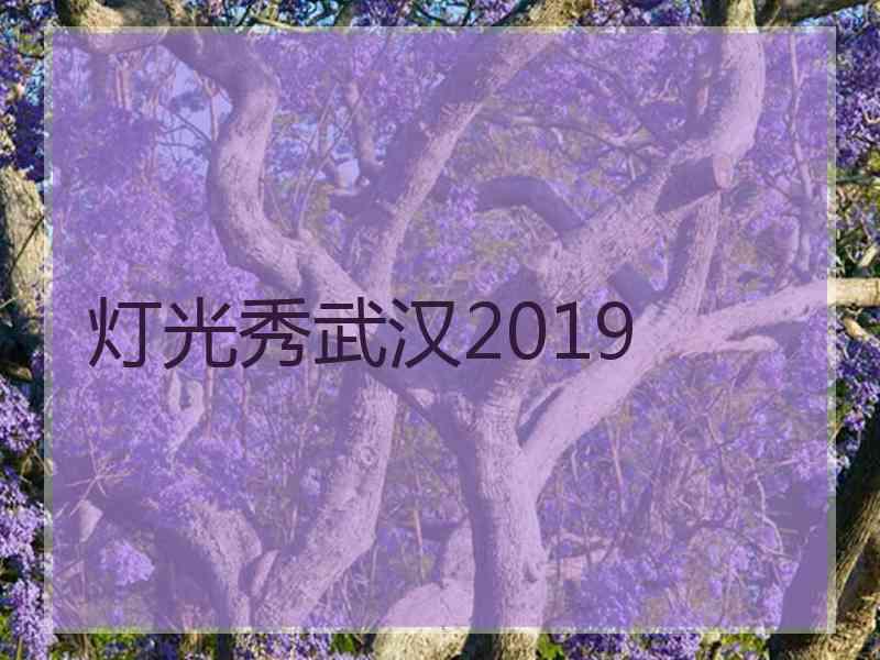 灯光秀武汉2019