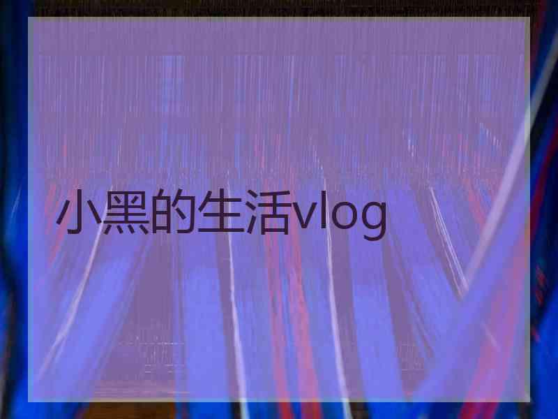 小黑的生活vlog