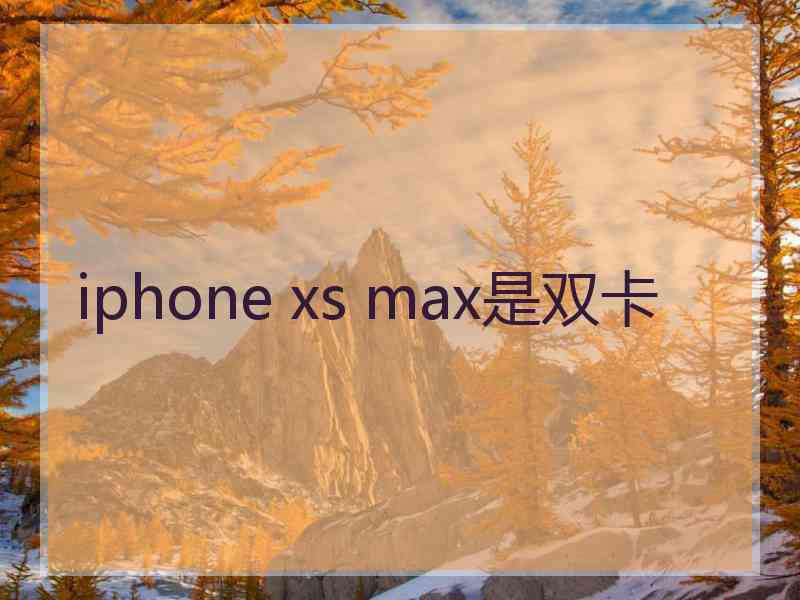 iphone xs max是双卡