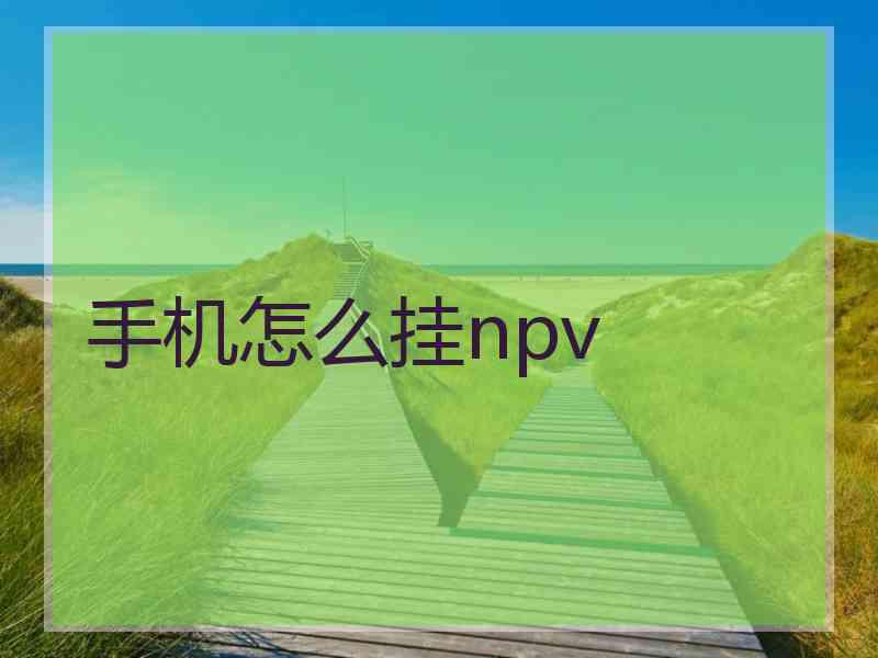 手机怎么挂npv