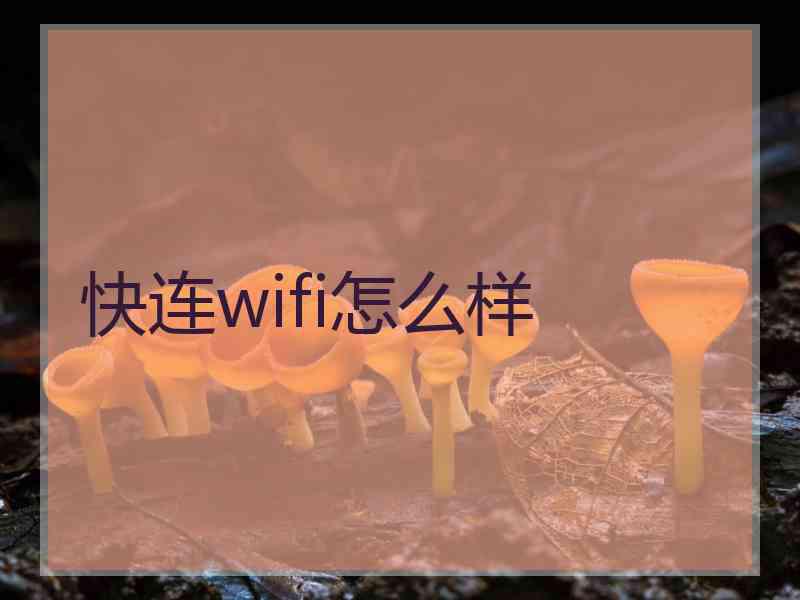 快连wifi怎么样