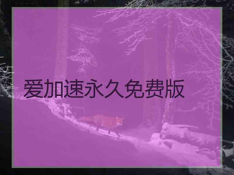 爱加速永久免费版