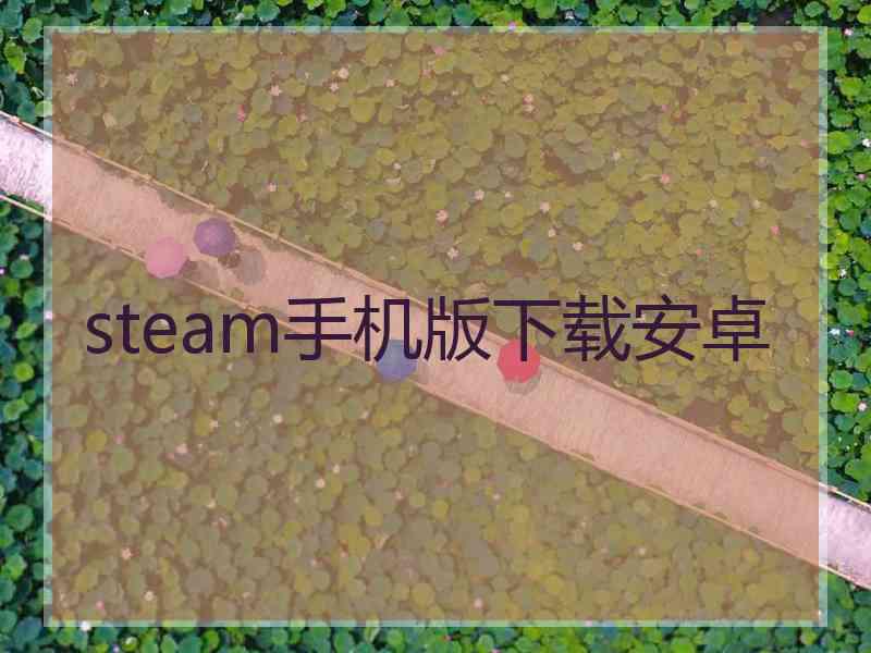 steam手机版下载安卓