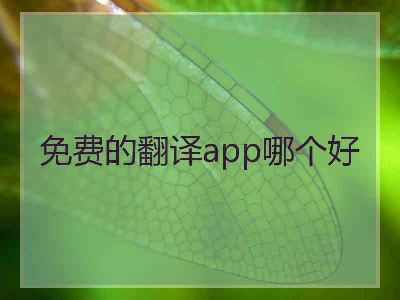 免费的翻译app哪个好