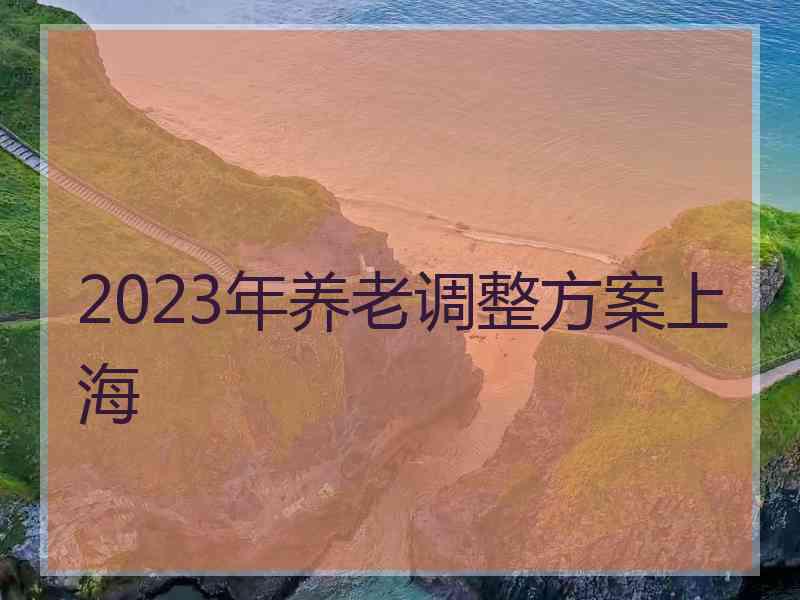 2023年养老调整方案上海