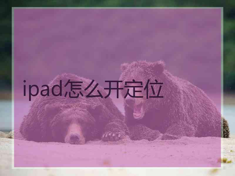 ipad怎么开定位