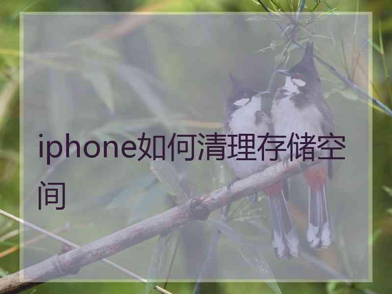 iphone如何清理存储空间