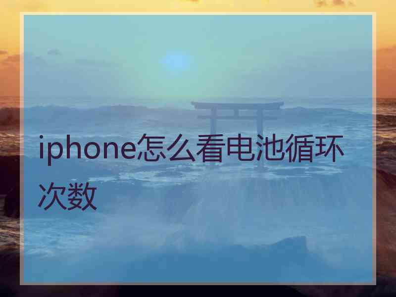 iphone怎么看电池循环次数