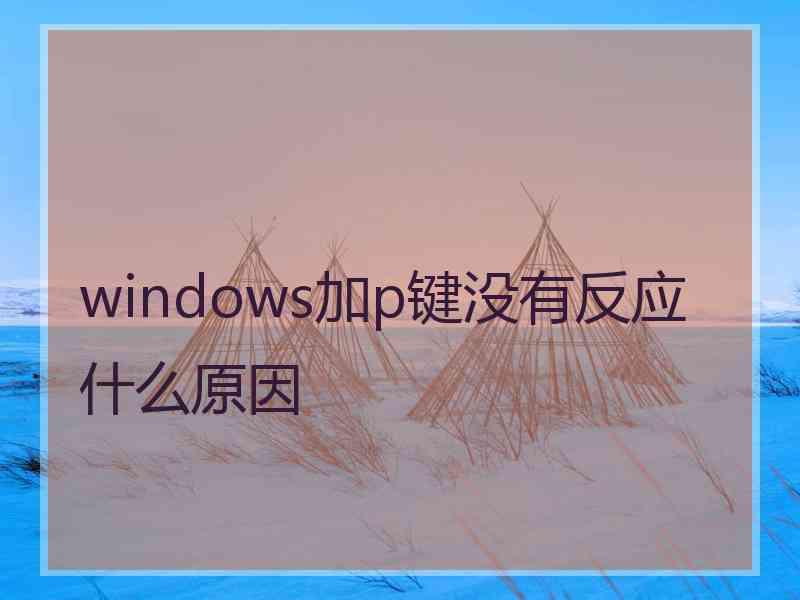 windows加p键没有反应什么原因