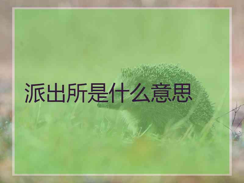 派出所是什么意思