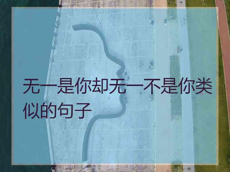 无一是你却无一不是你类似的句子