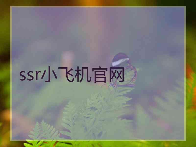 ssr小飞机官网