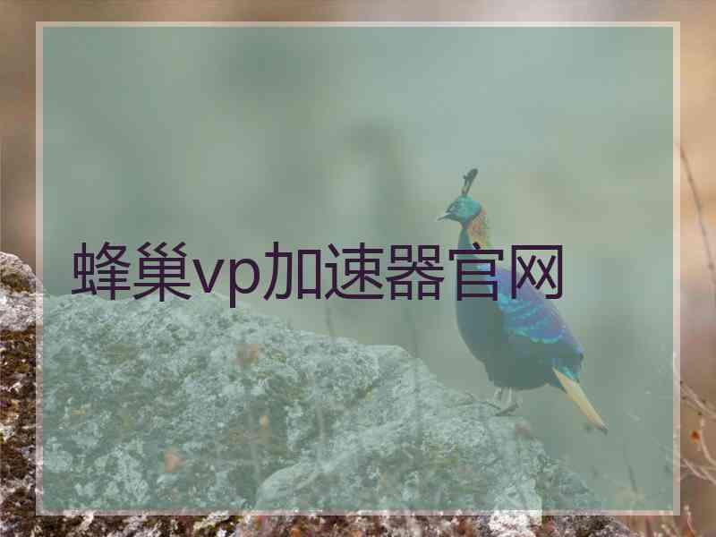 蜂巢vp加速器官网