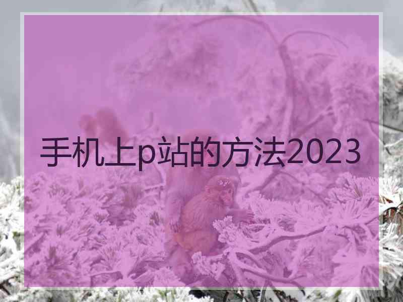 手机上p站的方法2023