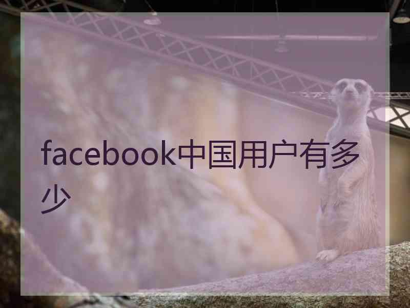 facebook中国用户有多少