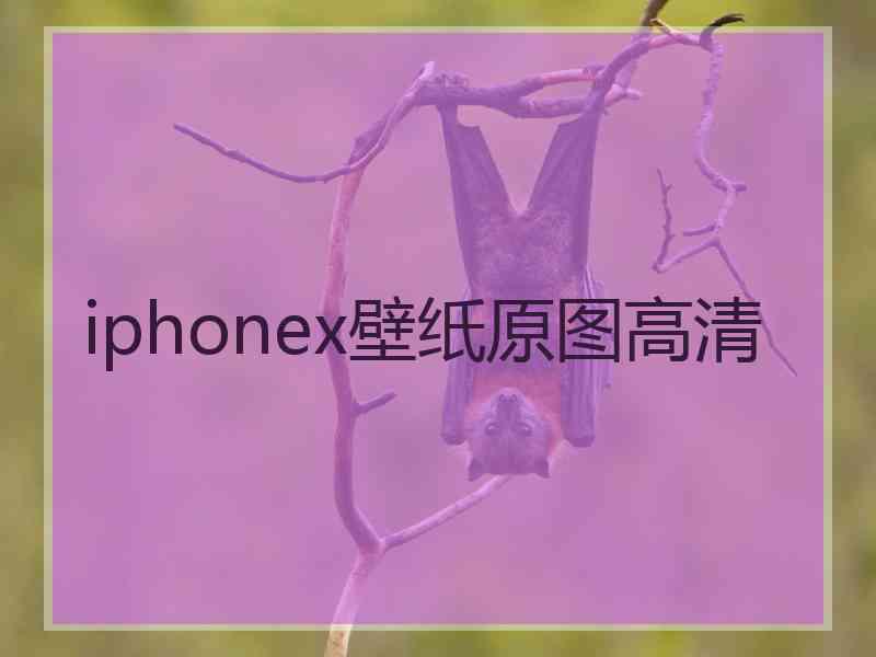 iphonex壁纸原图高清