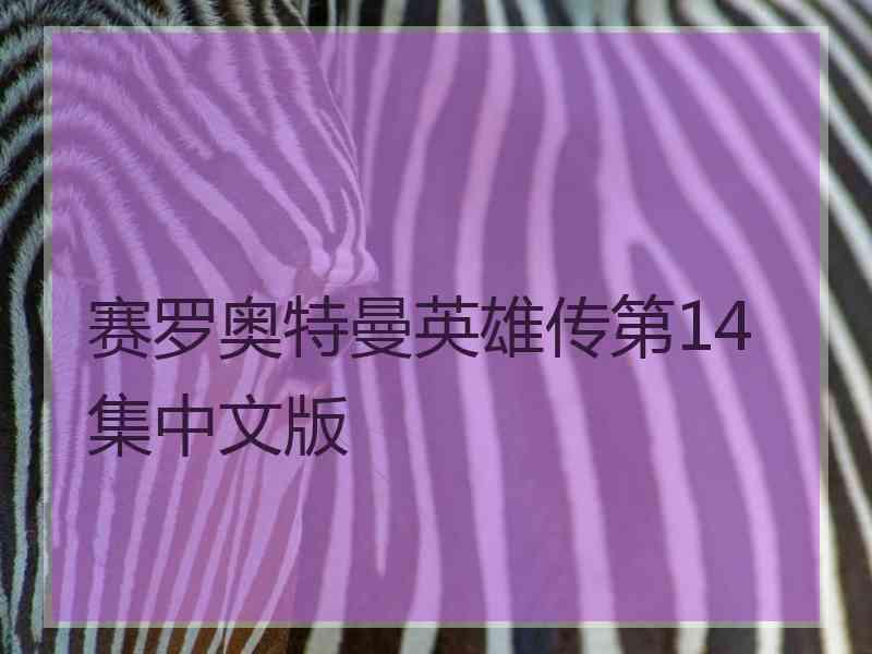 赛罗奥特曼英雄传第14集中文版