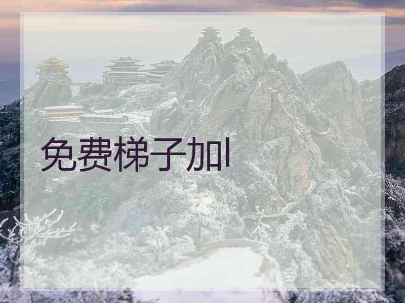 免费梯子加l