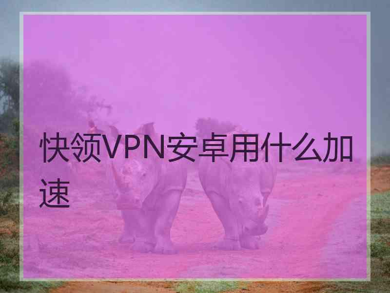 快领VPN安卓用什么加速