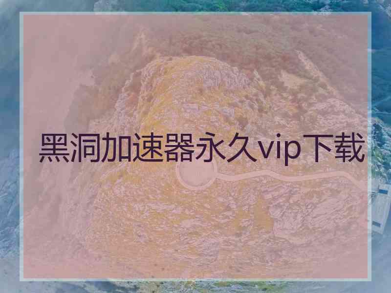 黑洞加速器永久vip下载