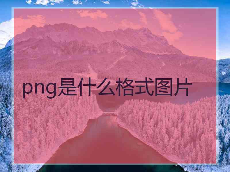 png是什么格式图片