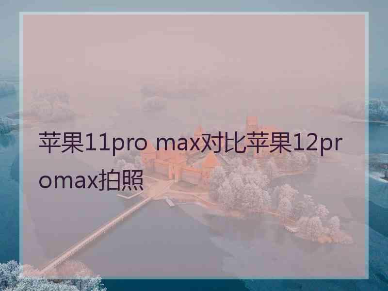 苹果11pro max对比苹果12promax拍照