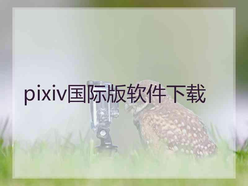 pixiv国际版软件下载