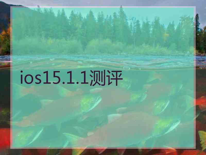 ios15.1.1测评