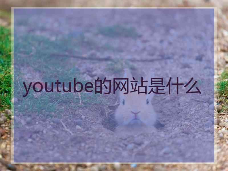 youtube的网站是什么