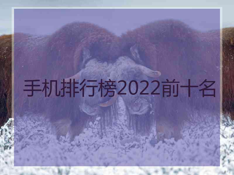 手机排行榜2022前十名