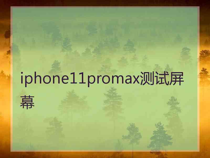 iphone11promax测试屏幕